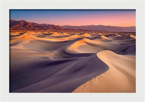 Golden Dawn Over Mesquite Dunes
