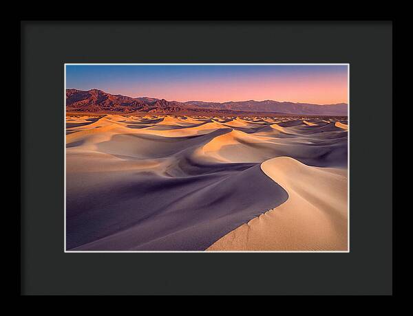Golden Dawn Over Mesquite Dunes
