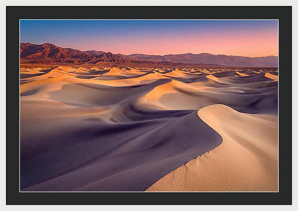 Golden Dawn Over Mesquite Dunes