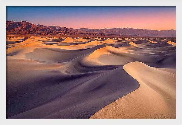 Golden Dawn Over Mesquite Dunes