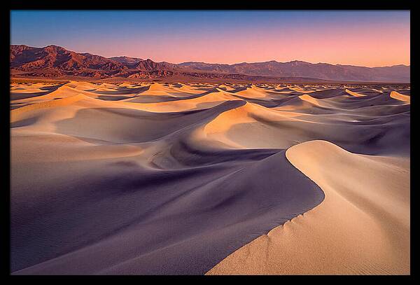 Golden Dawn Over Mesquite Dunes