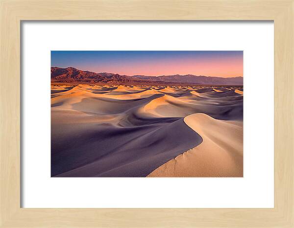 Golden Dawn Over Mesquite Dunes