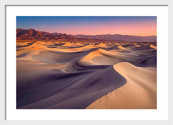 Golden Dawn Over Mesquite Dunes