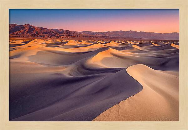 Golden Dawn Over Mesquite Dunes