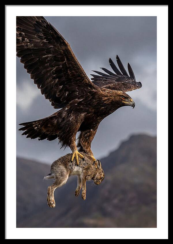 Eagle Art