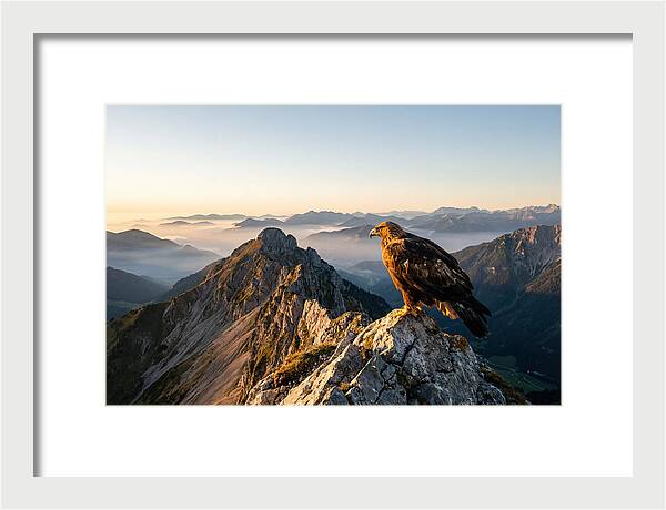 Golden Eagle Majestic View