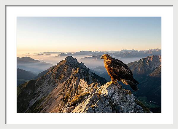 Golden Eagle Majestic View