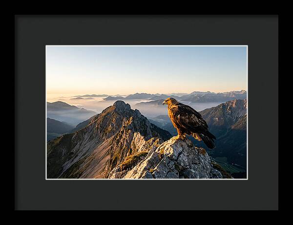 Golden Eagle Majestic View