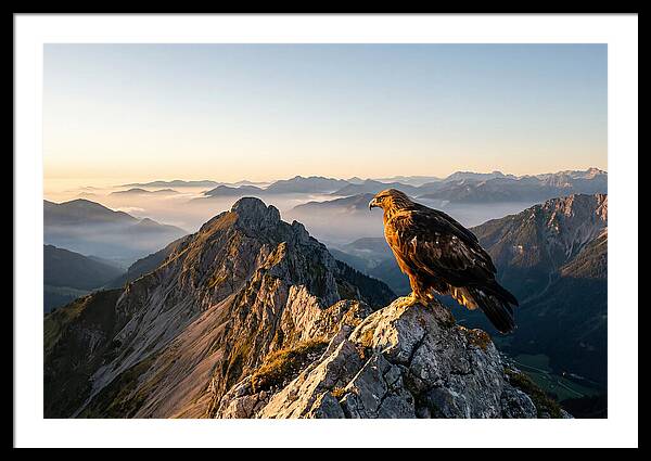 Golden Eagle Majestic View