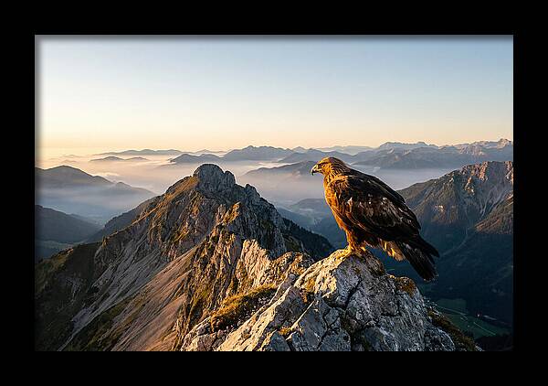 Golden Eagle Majestic View