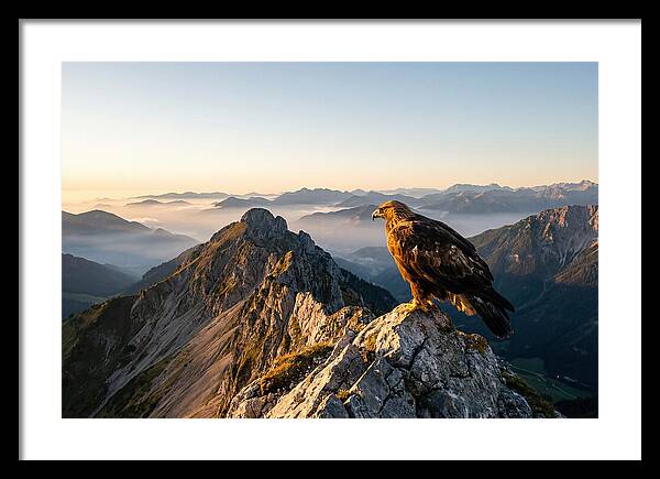Golden Eagle Majestic View