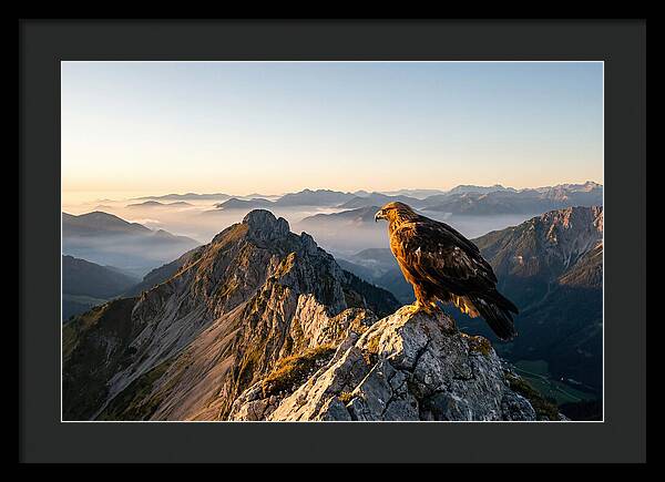 Golden Eagle Majestic View