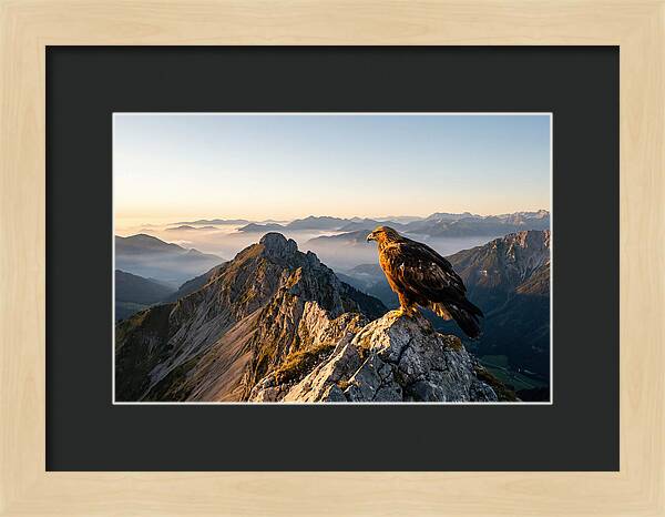 Golden Eagle Majestic View