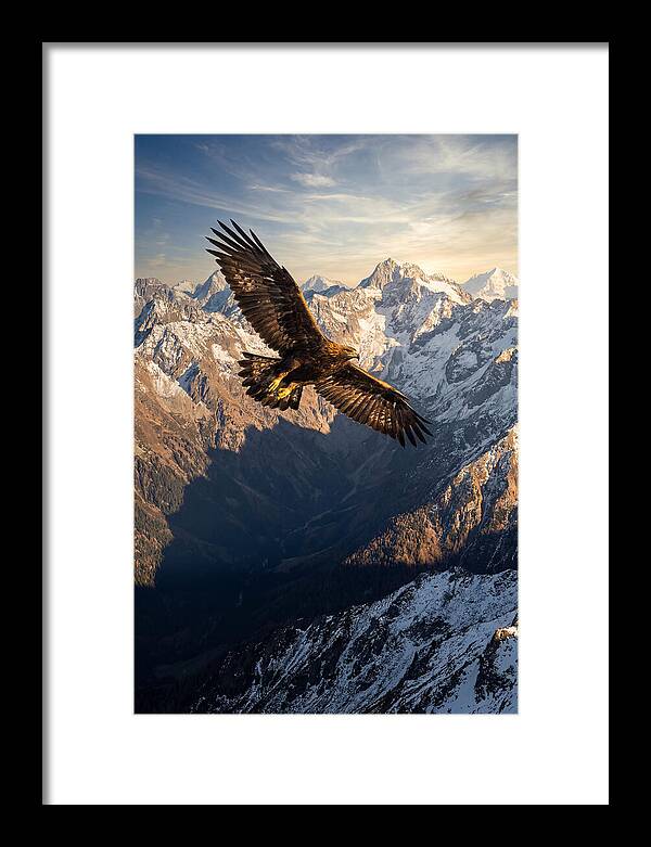 Golden Eagle Soaring Above Mountains