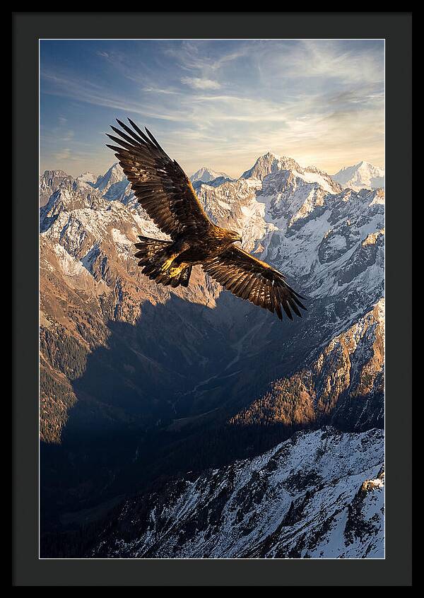 Golden Eagle Soaring Above Mountains