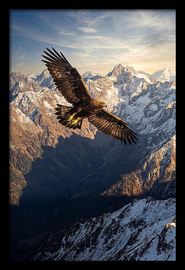 Golden Eagle Soaring Above Mountains