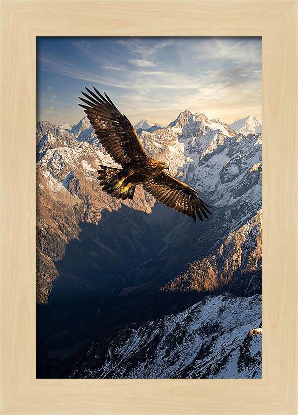 Golden Eagle Soaring Above Mountains