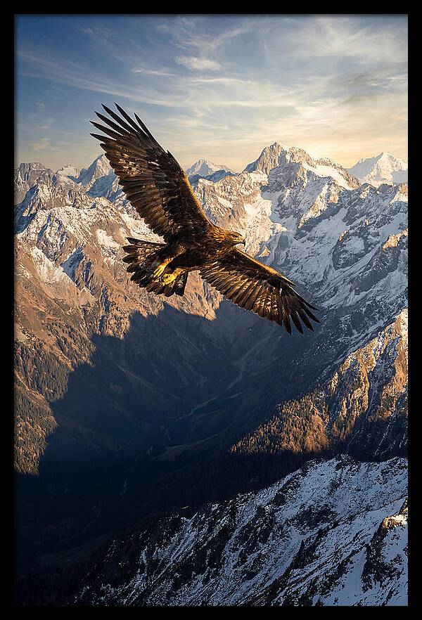 Golden Eagle Soaring Above Mountains