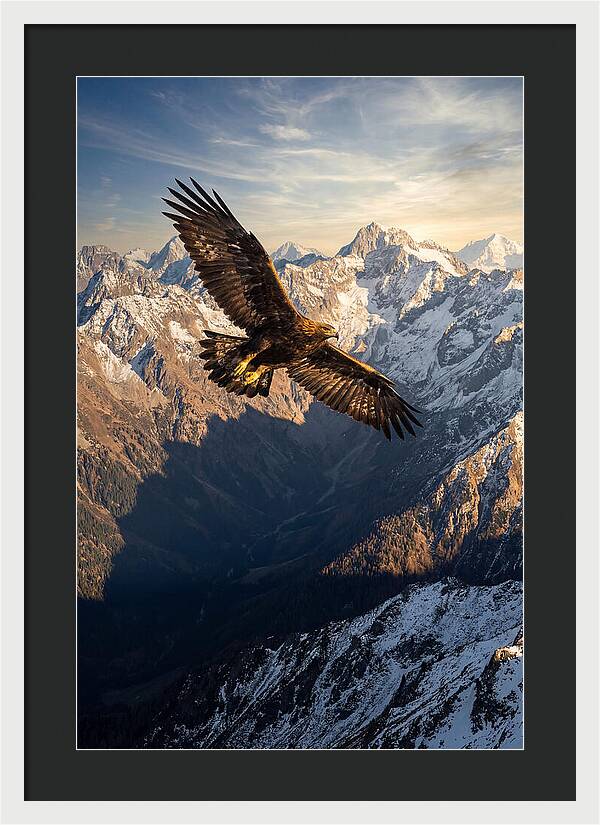Golden Eagle Soaring Above Mountains