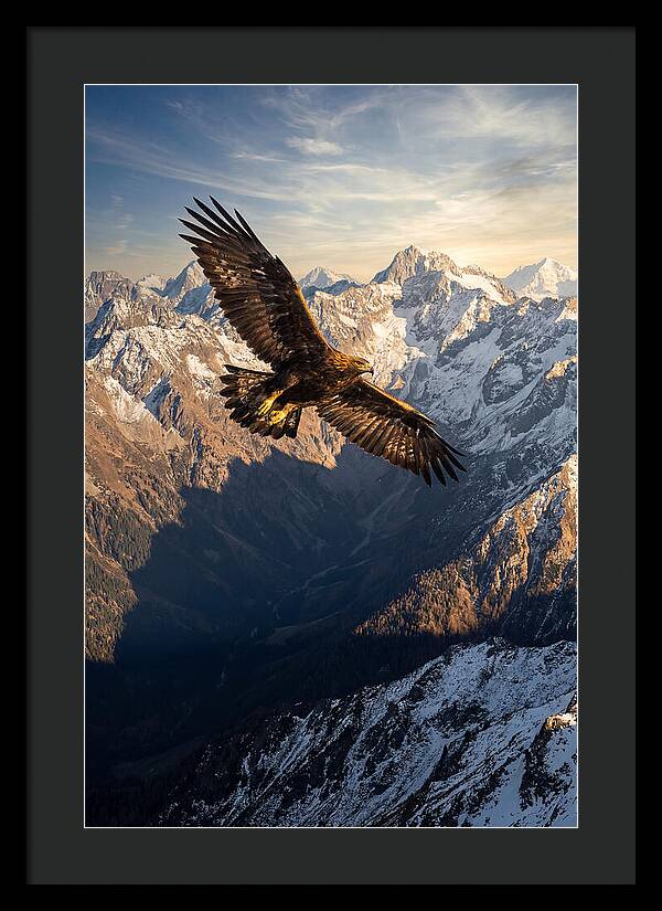 Golden Eagle Soaring Above Mountains