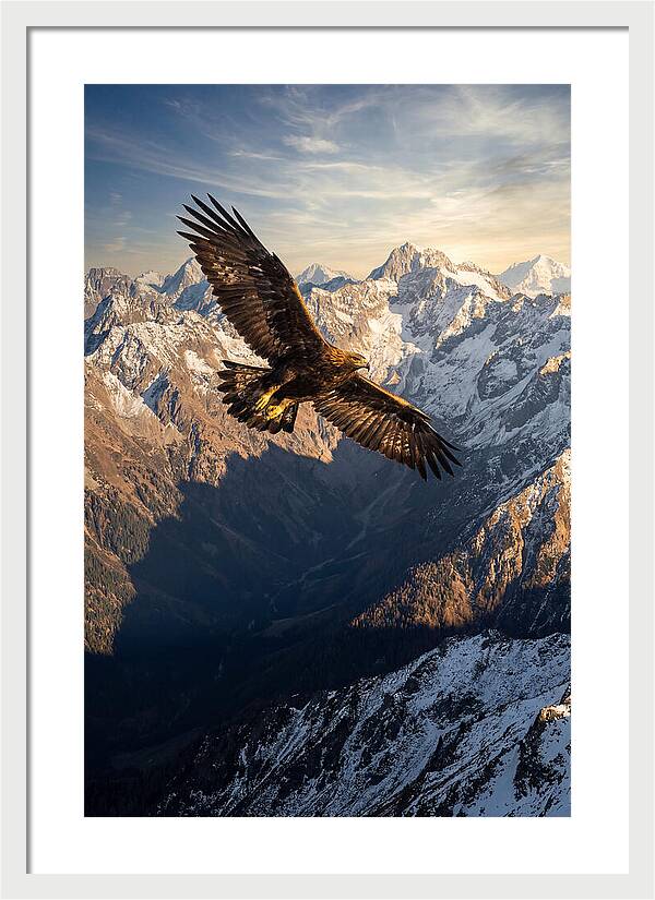 Golden Eagle Soaring Above Mountains