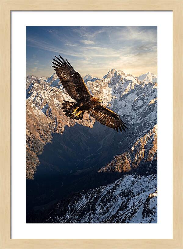 Golden Eagle Soaring Above Mountains