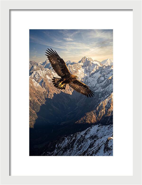 Golden Eagle Soaring Above Mountains