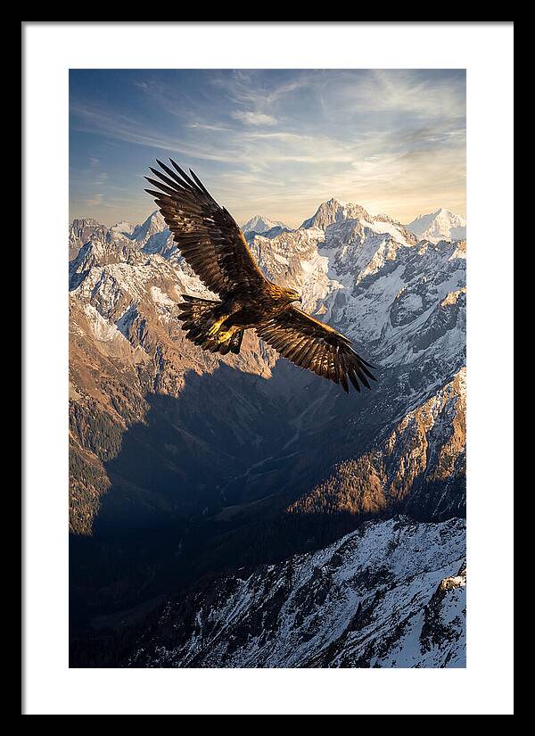 Golden Eagle Soaring Above Mountains