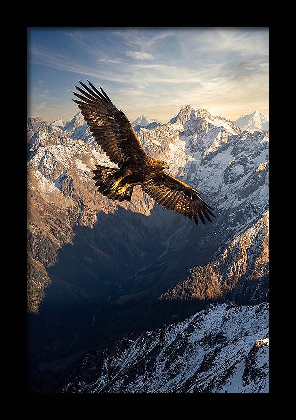 Golden Eagle Soaring Above Mountains
