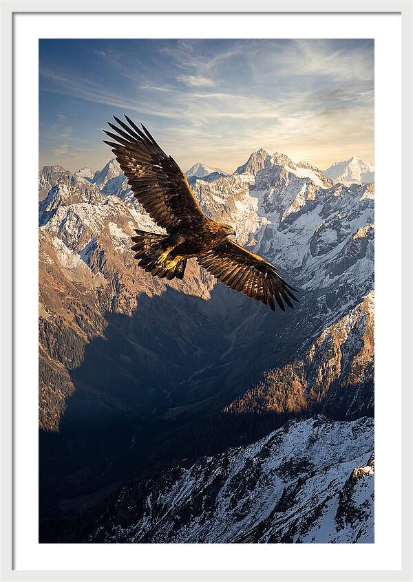 Golden Eagle Soaring Above Mountains