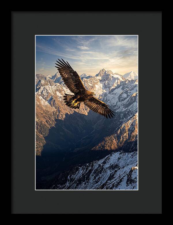Golden Eagle Soaring Above Mountains