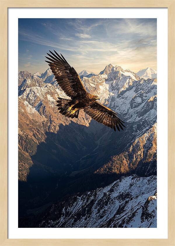 Golden Eagle Soaring Above Mountains