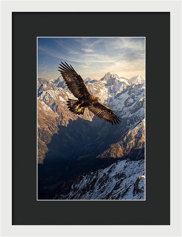 Golden Eagle Soaring Above Mountains
