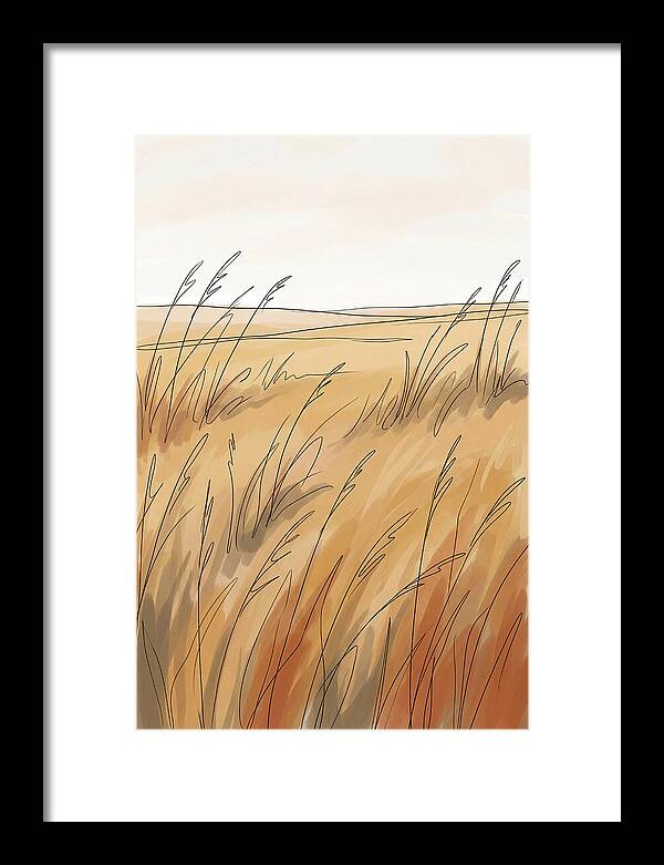 Golden Field Of Tall Grass