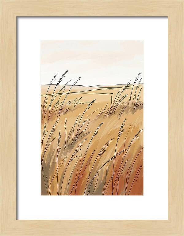 Golden Field Of Tall Grass