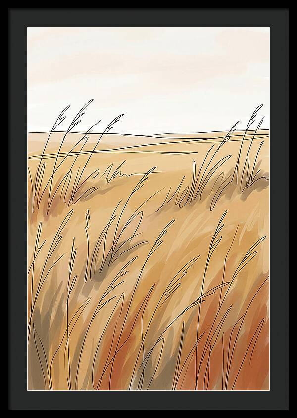 Golden Field Of Tall Grass