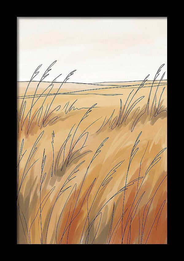 Golden Field Of Tall Grass