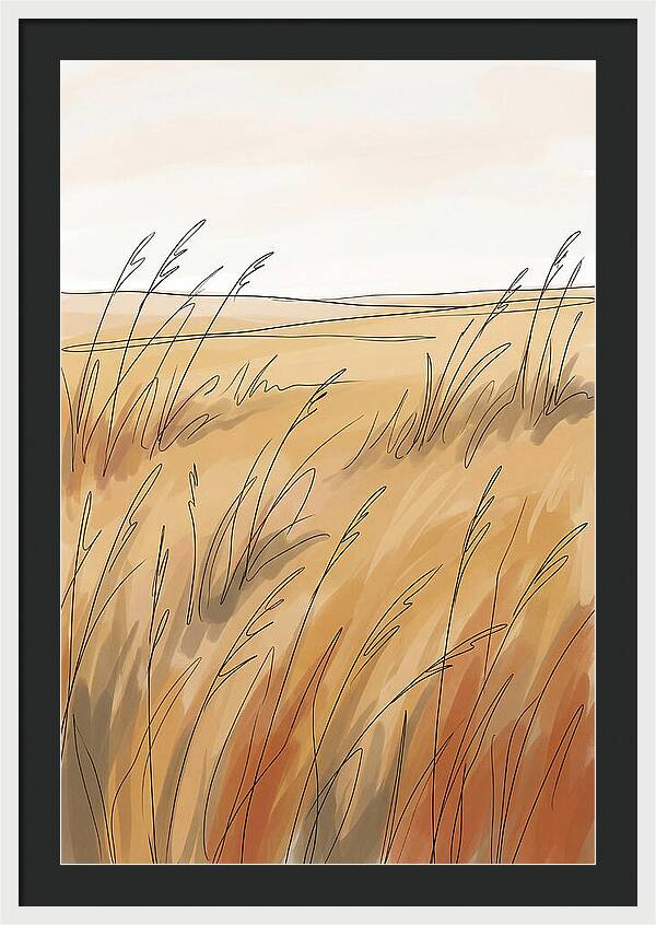 Golden Field Of Tall Grass