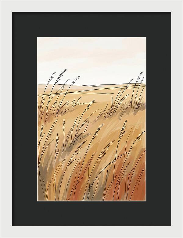 Golden Field Of Tall Grass