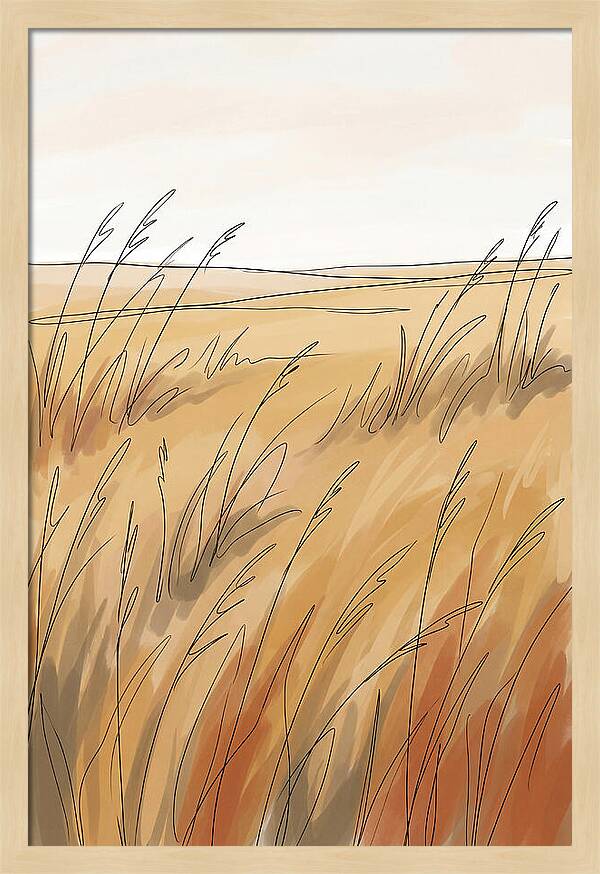 Golden Field Of Tall Grass