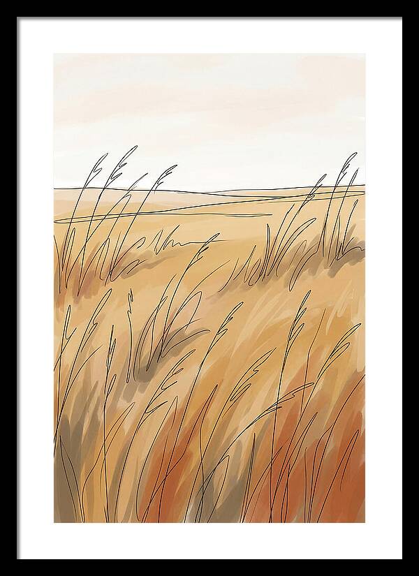 Golden Field Of Tall Grass