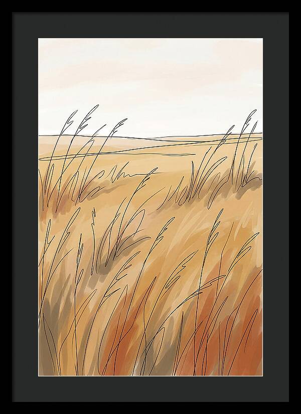 Golden Field Of Tall Grass