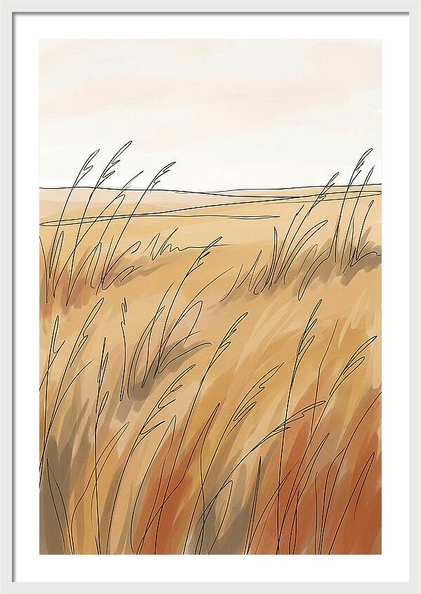 Golden Field Of Tall Grass