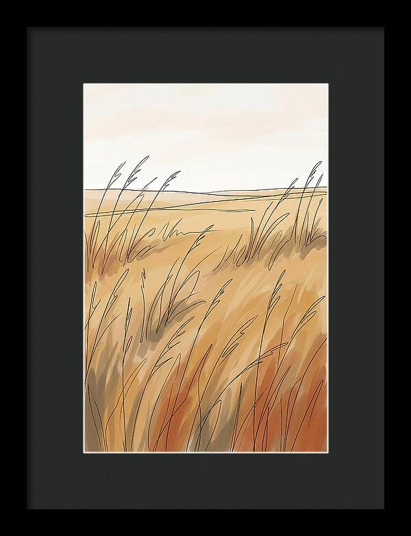 Golden Field Of Tall Grass