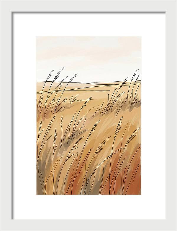 Golden Field Of Tall Grass