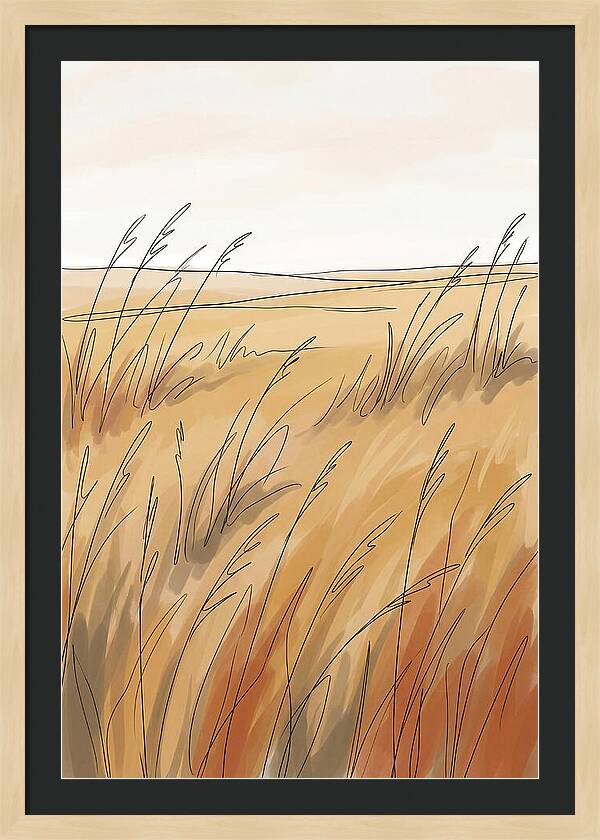 Golden Field Of Tall Grass