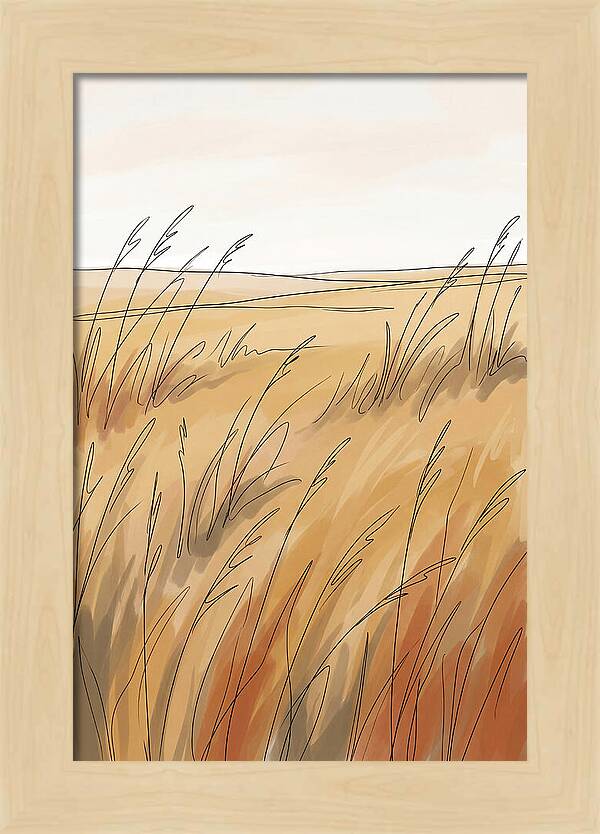 Golden Field Of Tall Grass