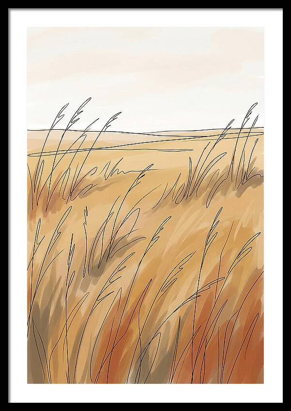 Golden Field Of Tall Grass