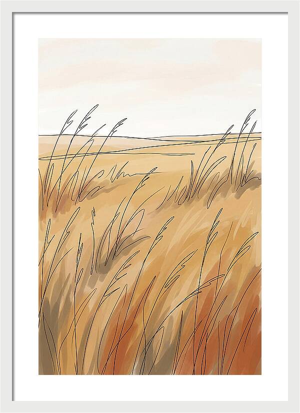 Golden Field Of Tall Grass