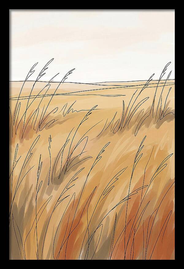 Golden Field Of Tall Grass